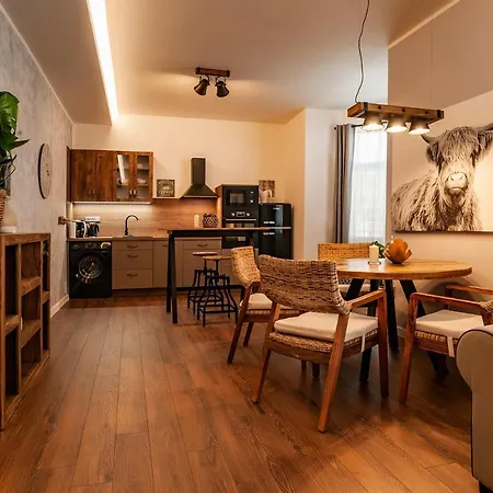 STING Boutique Apartments Ostrava Extérieur photo