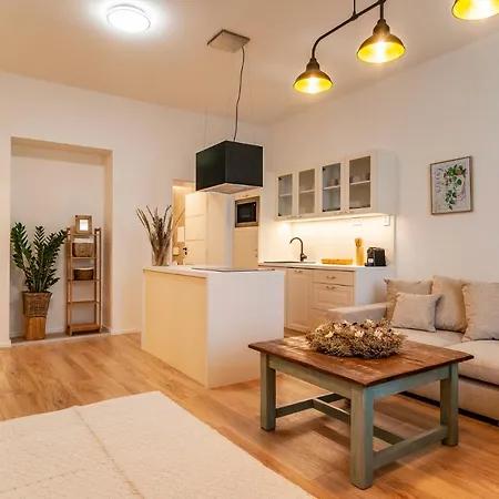 STING Boutique Apartments Ostrava Extérieur photo