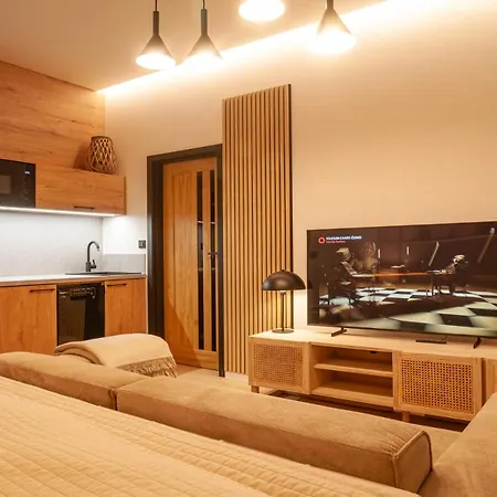 STING Boutique Apartments Ostrava Extérieur photo