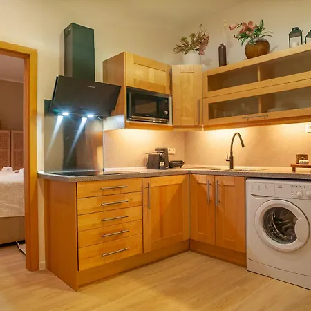 STING Boutique Apartments Ostrava Extérieur photo